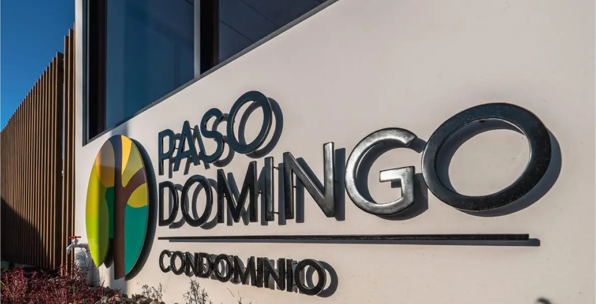 paso-domingo-02